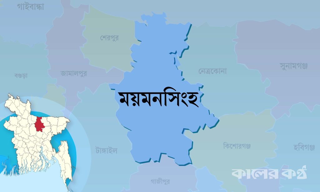 ঈশ্বরগঞ্জে কীটনাশক ও মালিশের ওষুধ পানে দুই শিশুর মৃত্যু