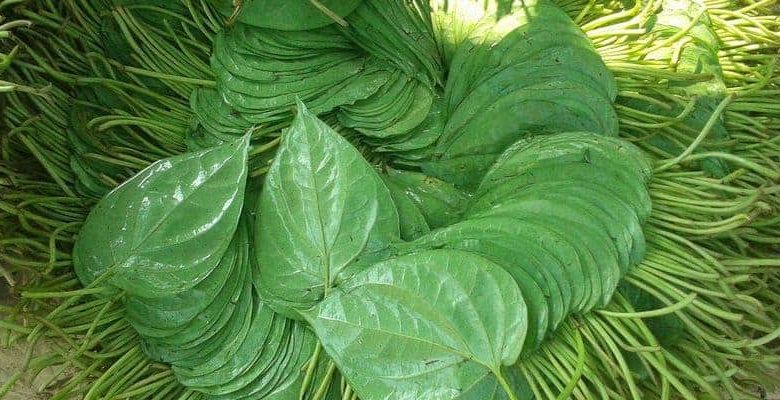 পানমসলা কেনার টাকা না দেওয়ায় সন্তানসহ গৃহবধূর বিষপান